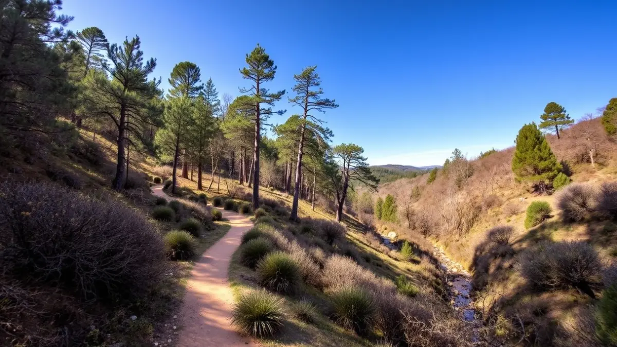 Image of a natural trail in the Sierra de Guadarrama forest.