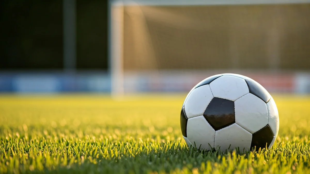 Imagen genérica de un balón de fútbol sobre césped, con una portería desenfocada al fondo.