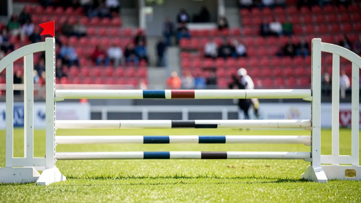Generic image of an equestrian show jumping obstacle on a competition field.