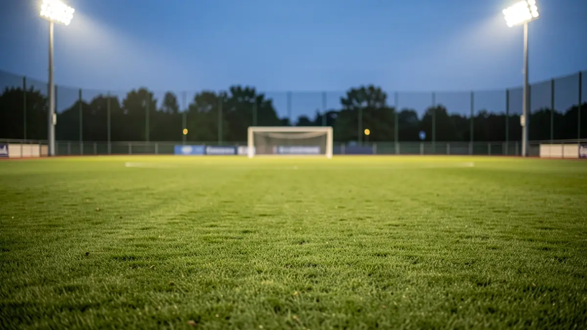 Generic image of a football pitch at dusk with lights.