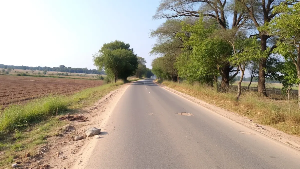 Image of the Vereda de la Torrecilla, a cattle track connecting Perales del Río with Getafe.
