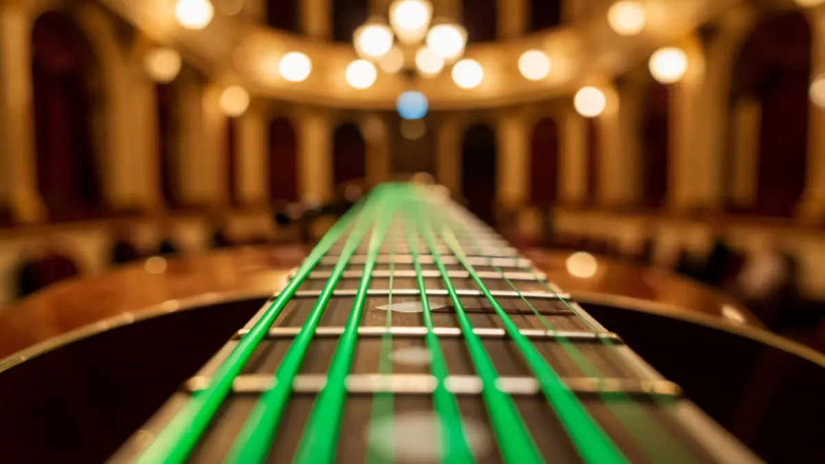 Generic image of guitar strings at a concert.