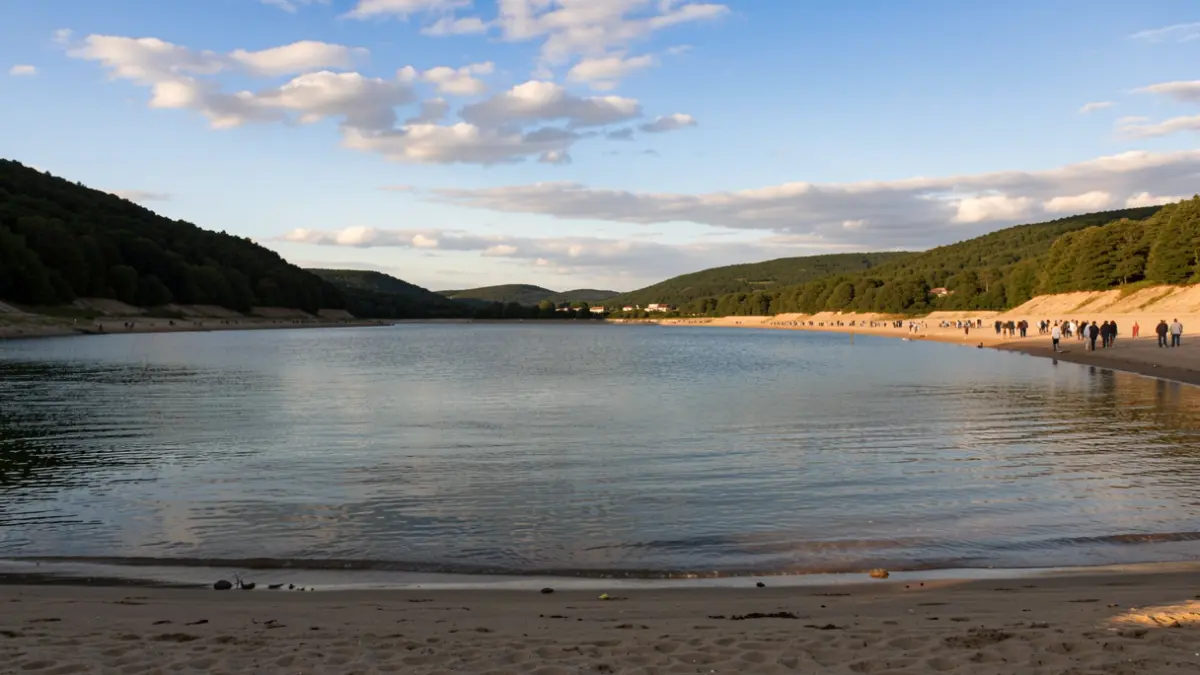 Generic image of a reservoir beach on a sunny day.