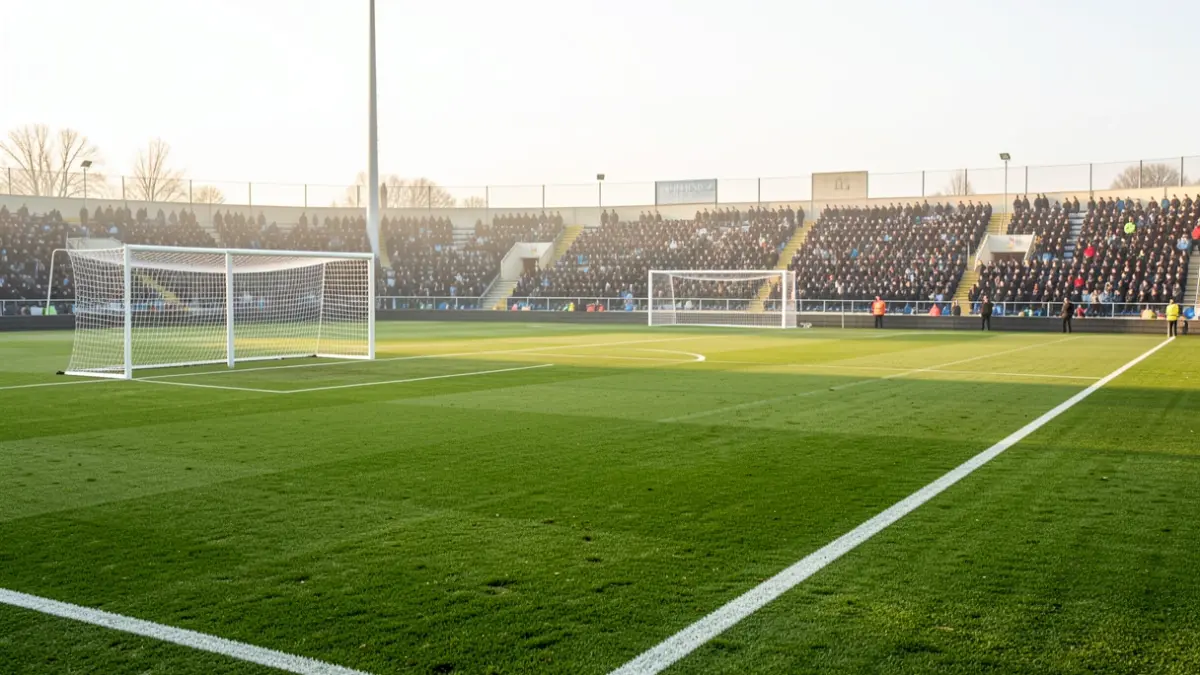 Generic image of an empty football pitch at dawn.