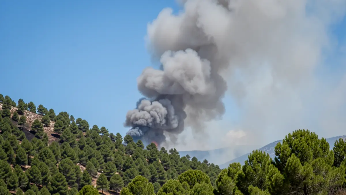 Image of a smoke column rising over a pine forest hillside in Madrid's Sierra Oeste after a wildfire.