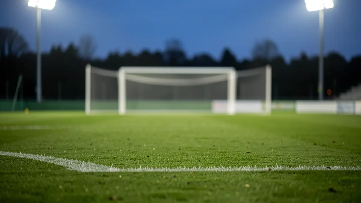 Generic image of a football pitch at dusk with lights.