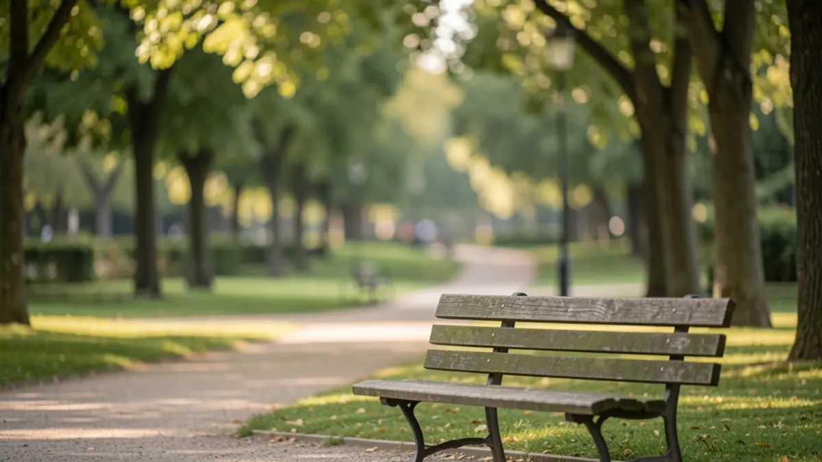 Generic image of a park bench in the afternoon light.
