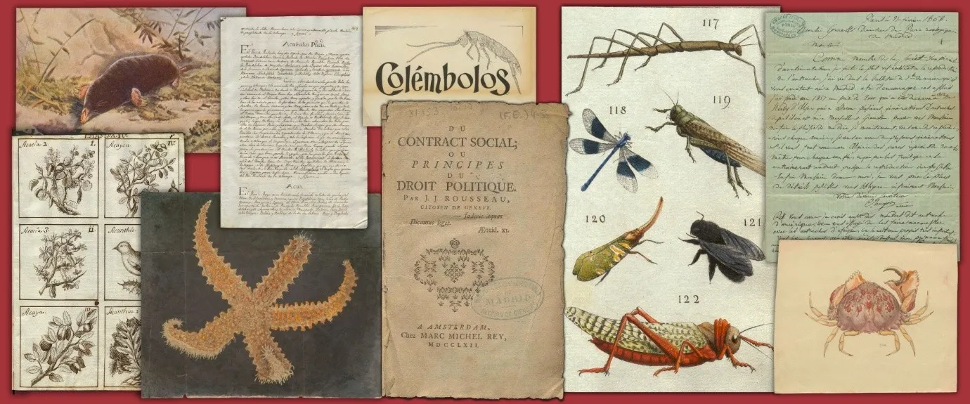 Selección de algunas de las imágenes del archivo y la biblioteca del MNCN que han sido digitalizadas y puesto a disposición de toda la sociedad.